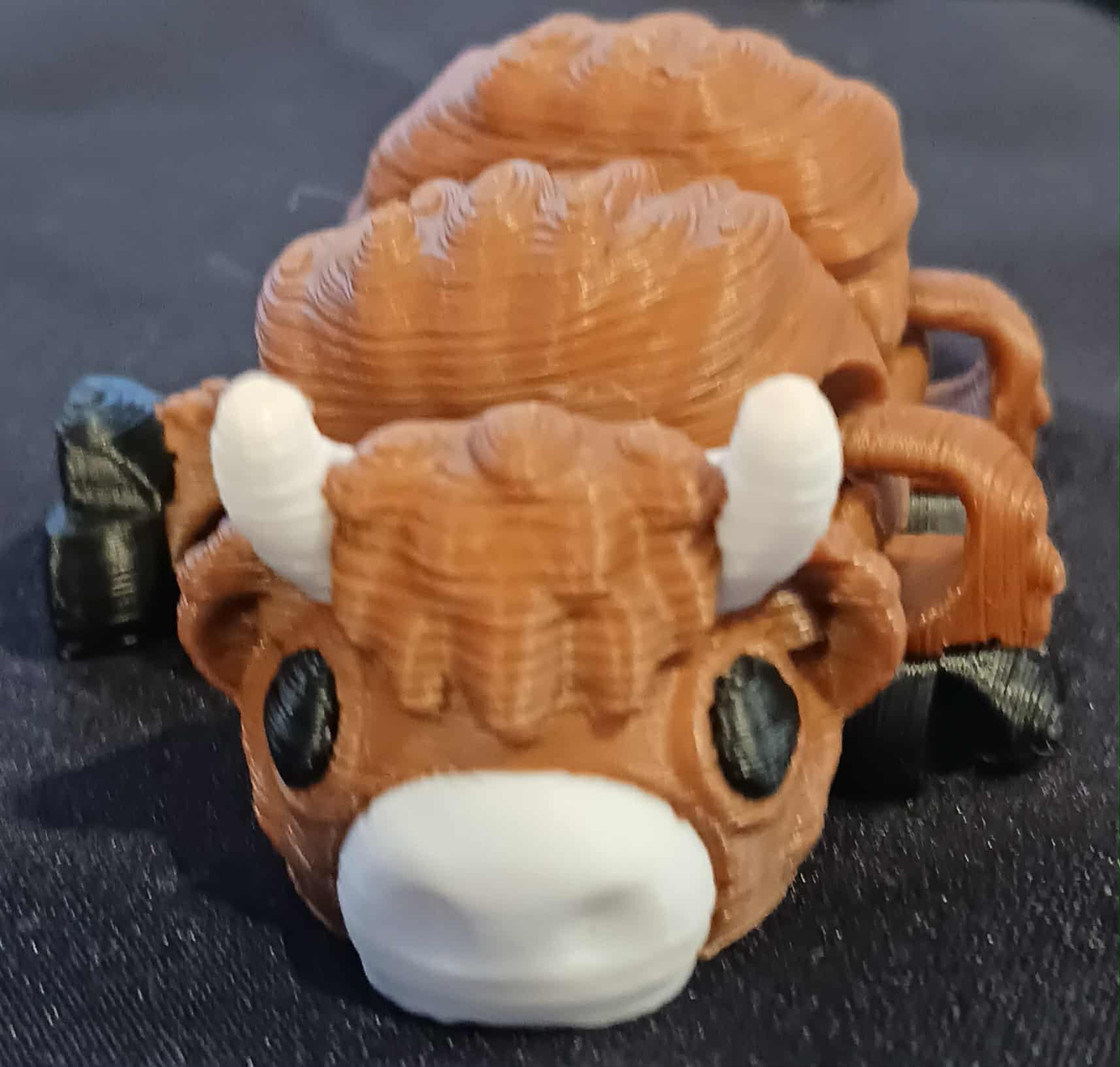 Highland Cow